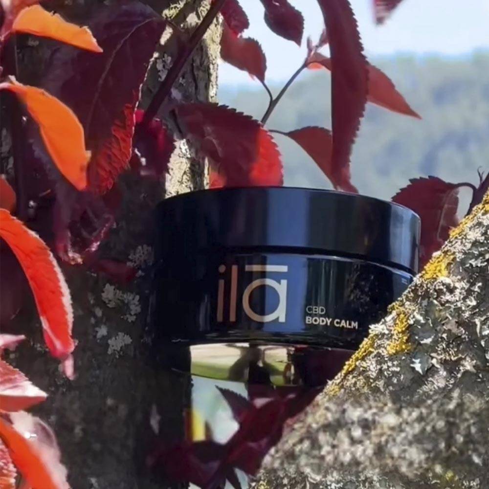 CBD Massage Pure CBD Products